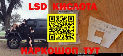 стафф Новокубанск