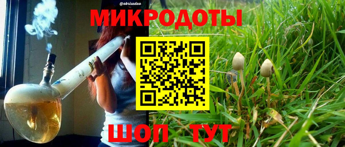 магазин продажи   Псилоцибиновые грибы прущие грибы  Вход с VPN  Узловая 