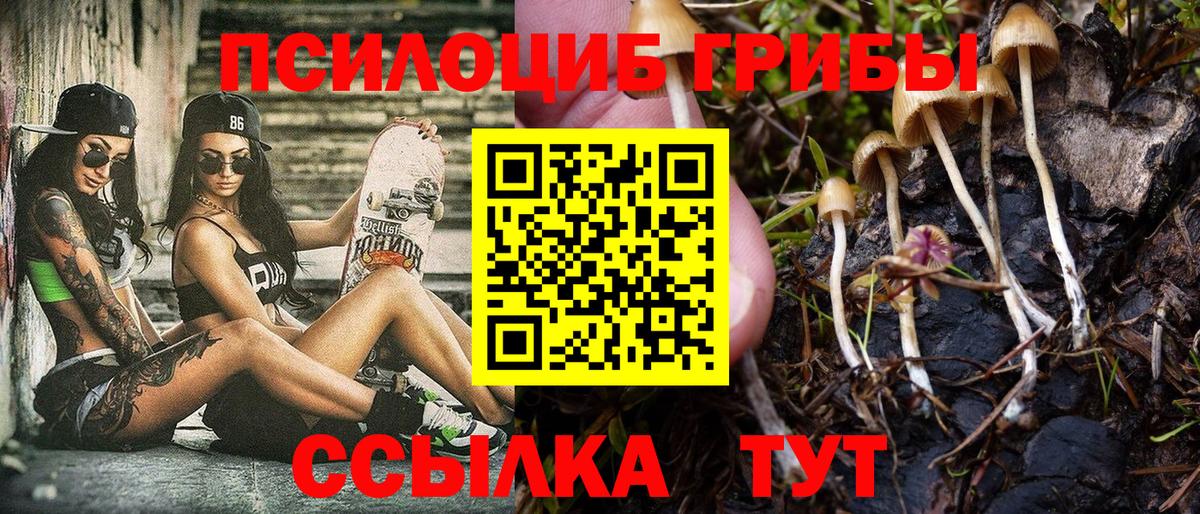 Псилоцибиновые грибы прущие грибы Узловая